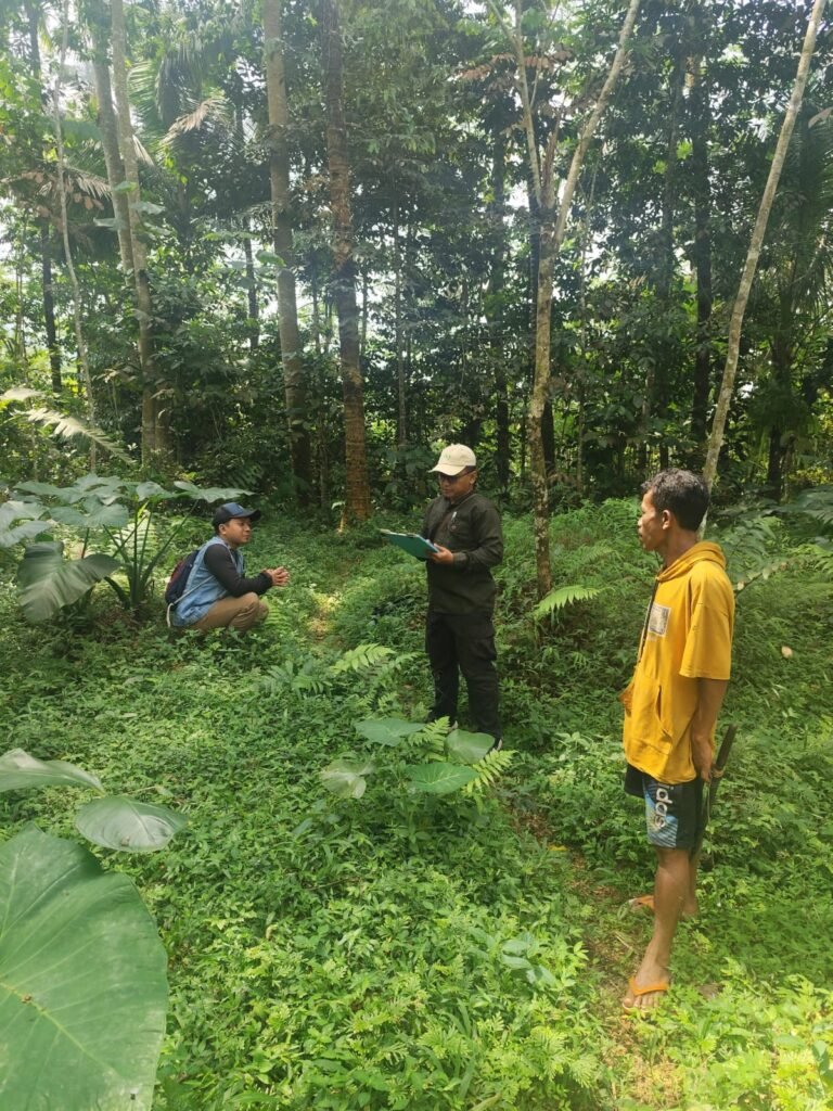 img 20250723 wa0031 (1)